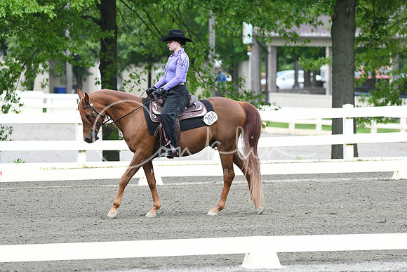 HSM_2435