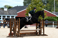 HSM_8596-1