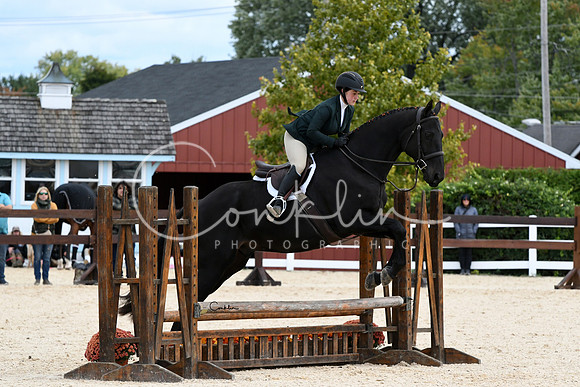 HSM_8596-1