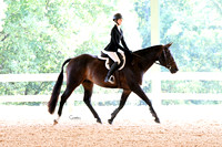 HSM_4519-1