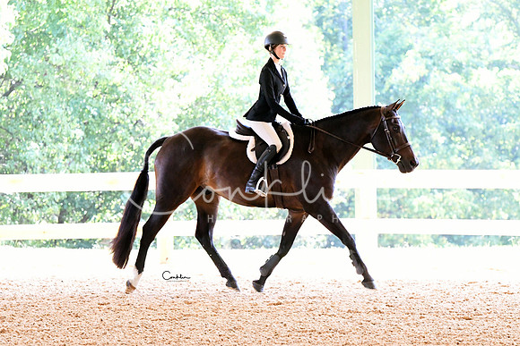 HSM_4519-1