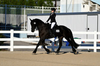 HSM_4241