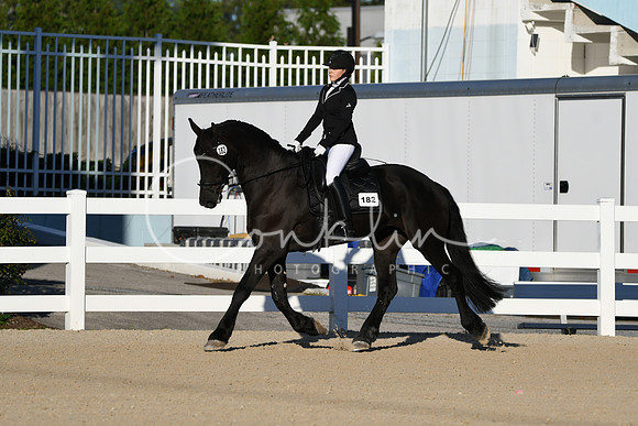 HSM_4241