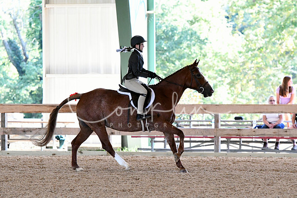 HSM_2824-1