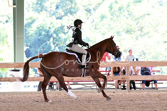 HSM_2826-1