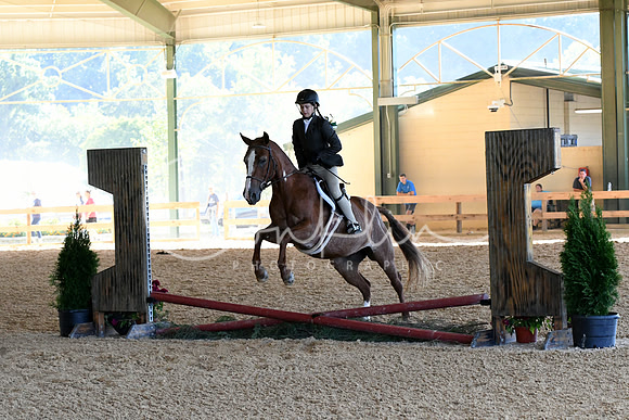 HSM_2822-1
