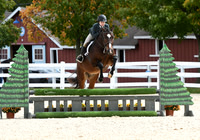 HSM_8268-1
