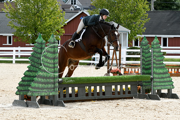 HSM_8271-1
