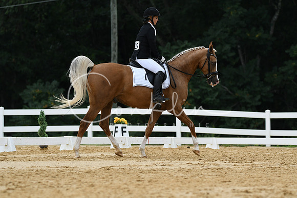HSM_0255