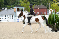 HSM_5080