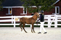 HSM_5780
