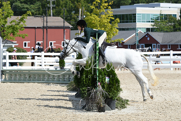 HSM_6334
