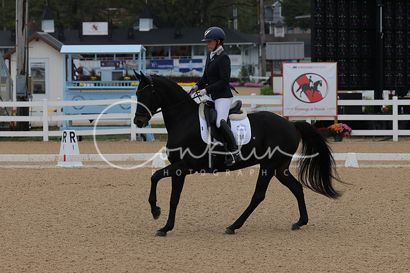 HLK_2015