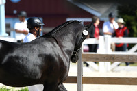 HSM_4717
