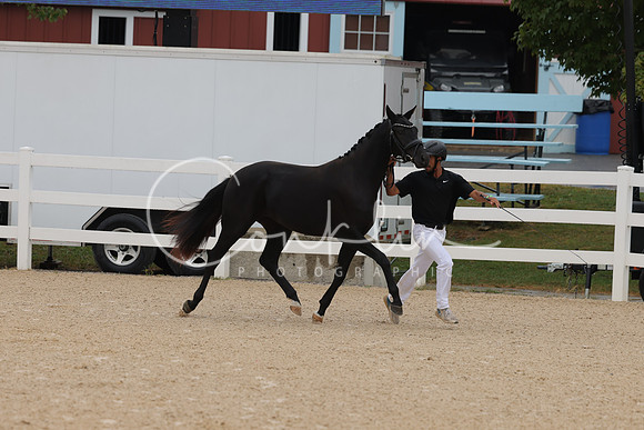 HLK_3149