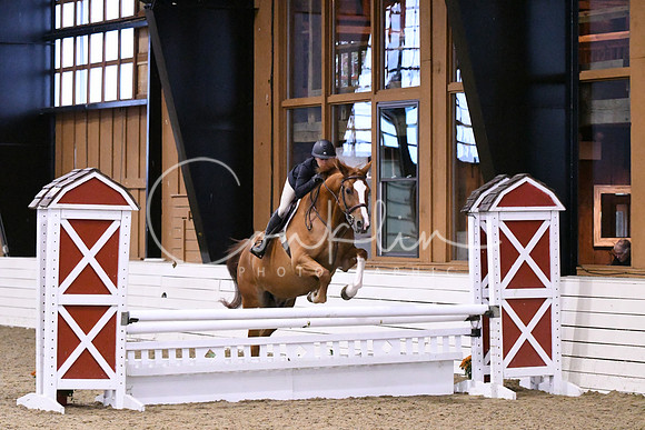 HSM_1566