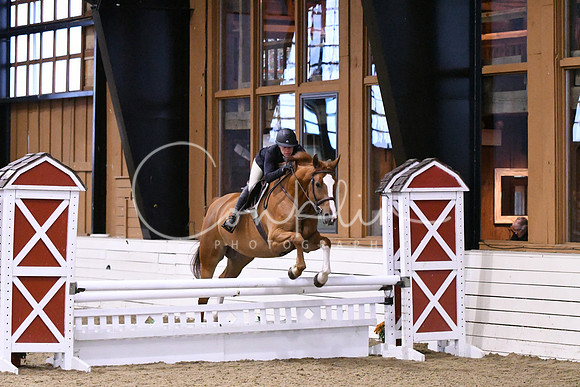 HSM_1567
