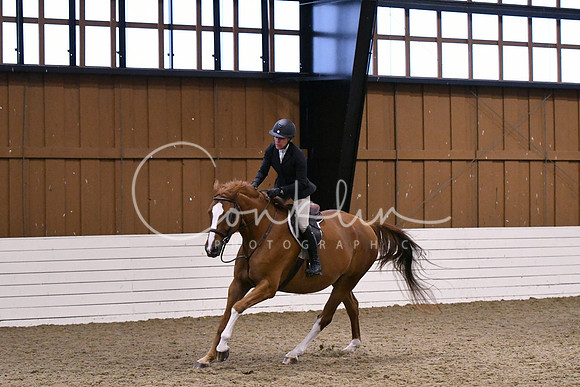 HSM_1628