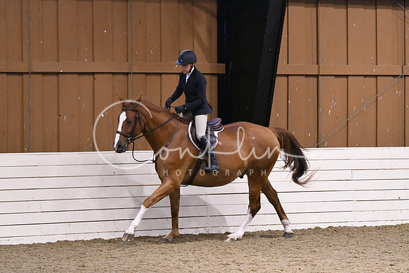 HSM_1617
