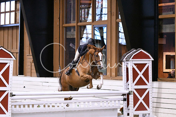 HSM_1621