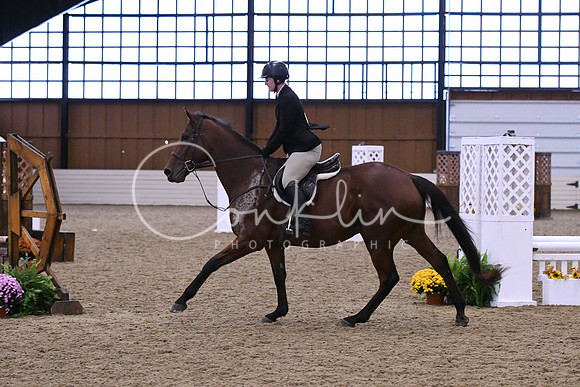 HSM_0408