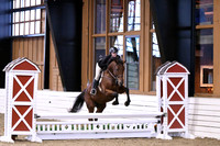 HSM_0401