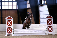 HSM_1263