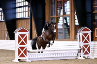 HSM_1265