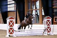 HSM_1266