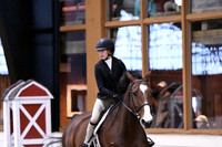 HSM_1267