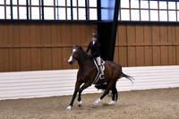 HSM_1272