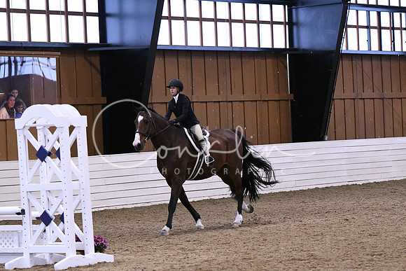 HSM_1346