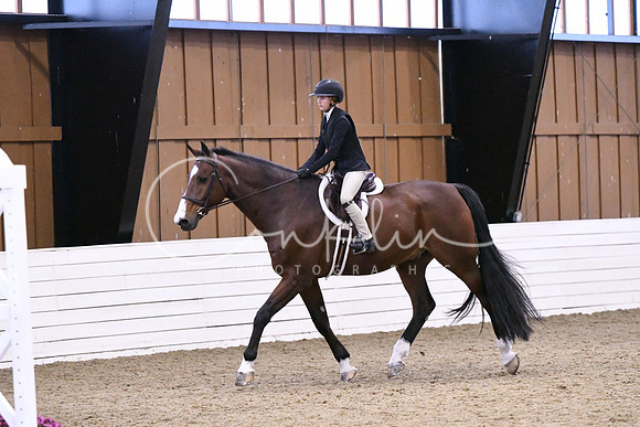 HSM_1352