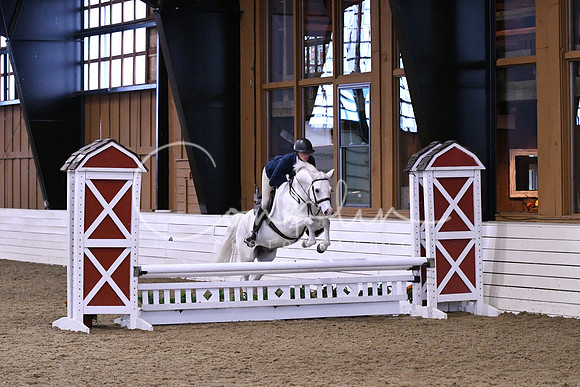 HSM_0637