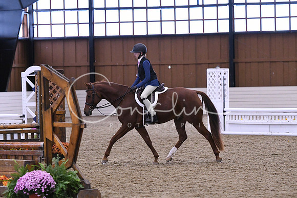 HSM_1431