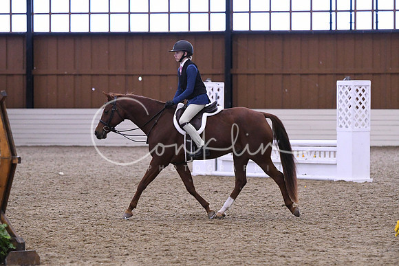 HSM_1475