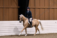 HSM_0201