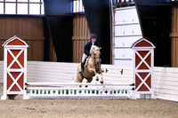 HSM_0204