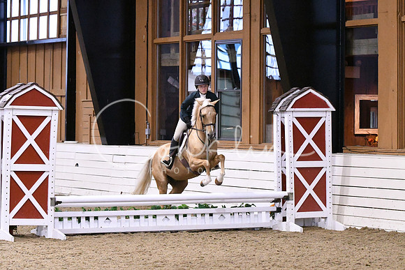 HSM_0206
