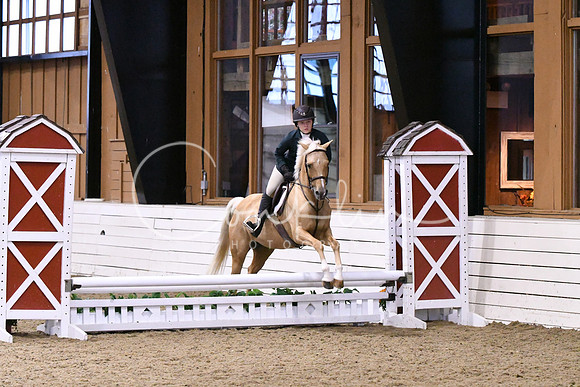 HSM_0207