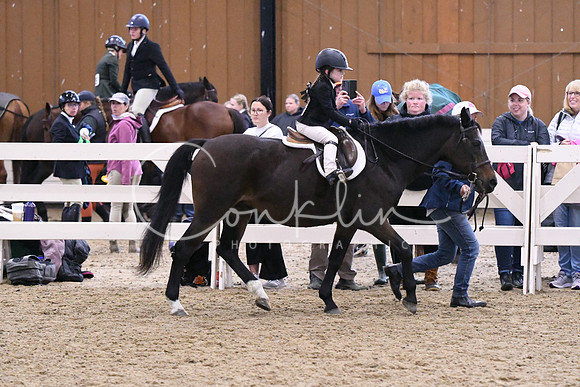 HSM_1138