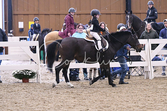 HSM_1141