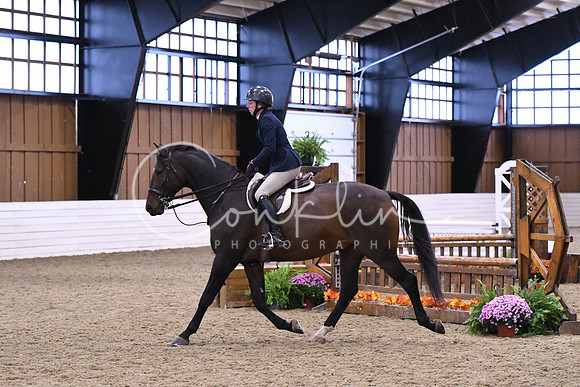 HSM_0509