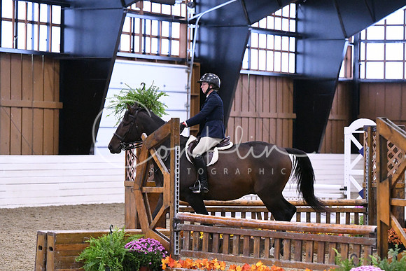 HSM_0495