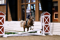 HSM_9637