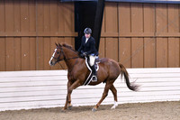 HSM_0855