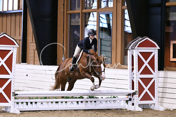 HSM_0239