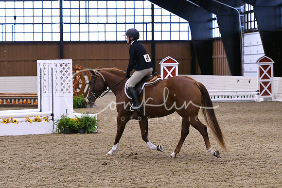 HSM_0248