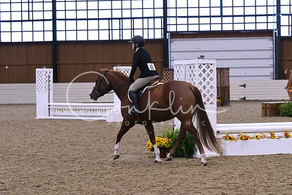 HSM_0249