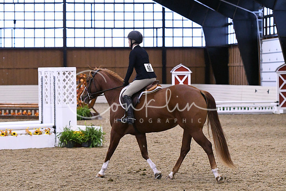 HSM_0234